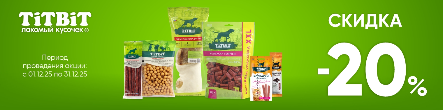 Альпинтех, Декабрь, 1