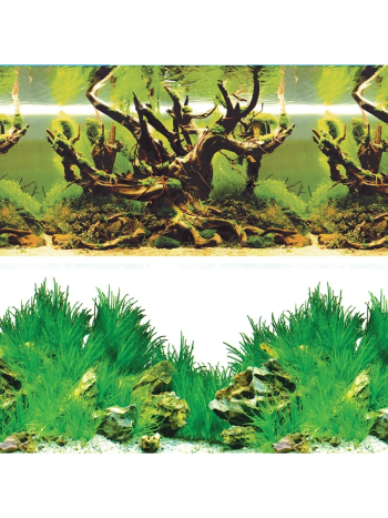Фон для аквариума Laguna Двусторонний Таинственный лес/Новое утро 50*100см
