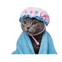 Шампуни для кошек